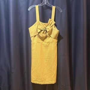 Gold Pin Stripe Mini Dress.